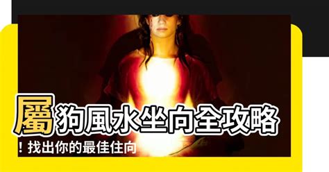 屬狗方位|【82年屬狗風水樓層】82年屬狗買房子方位注意規避一些不吉方。